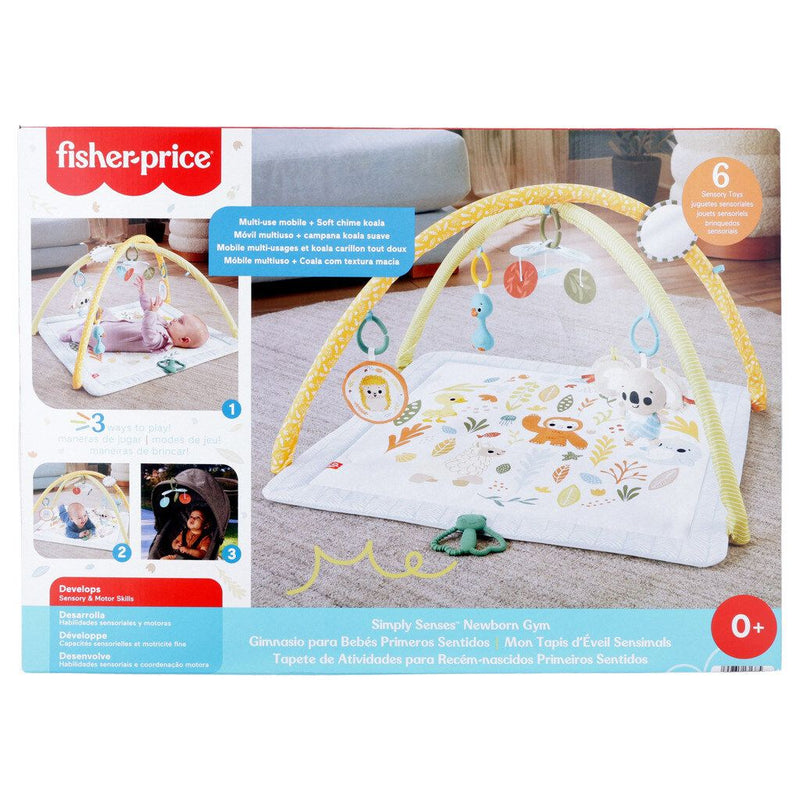 FISHER-PRICE BABY PRIMEROS SENTIDOS HRB15