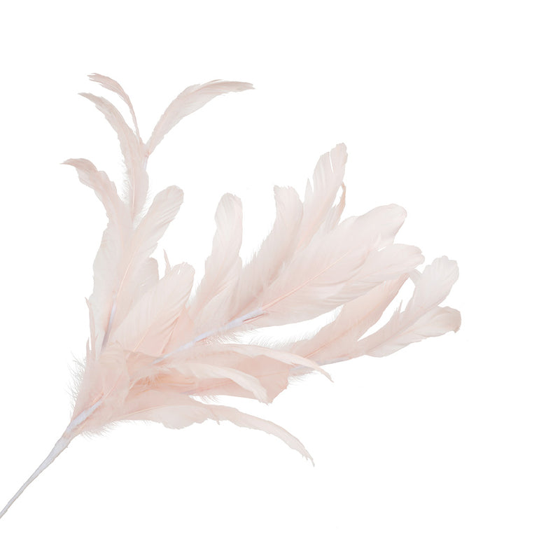 Vara Pluma Elegant Rosa  Mod.7083-65