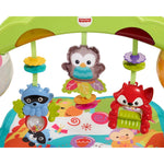 FISHER-PRICE BABY ETAPAS CRECE CONMIGO CCB70