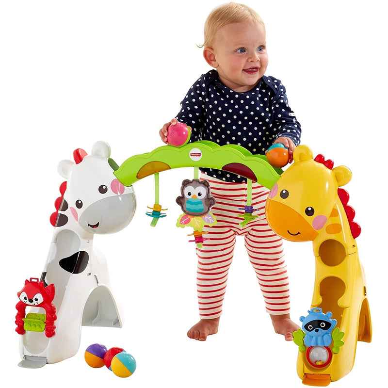 FISHER-PRICE BABY ETAPAS CRECE CONMIGO CCB70